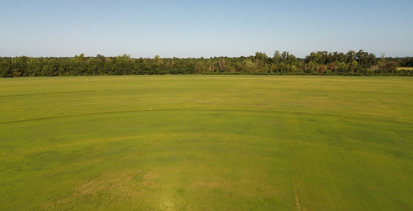 230 DJI 0224