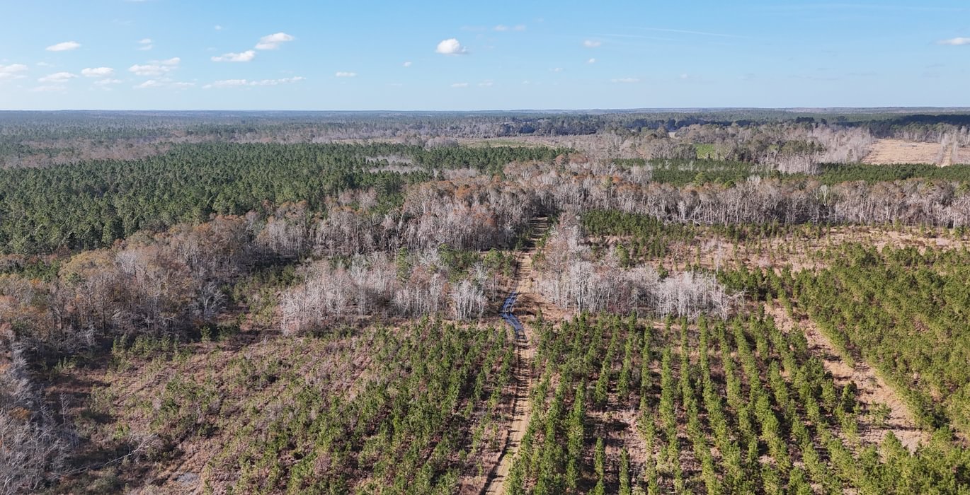 230 dji fly 20241216 140354 0060 1734391511130 photo