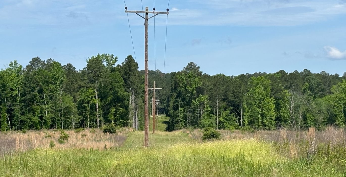 231 IMG 6741