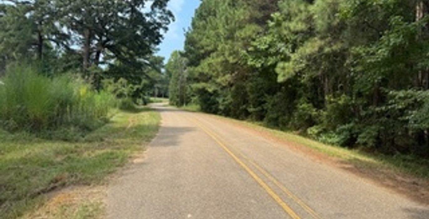 231 IMG 7902