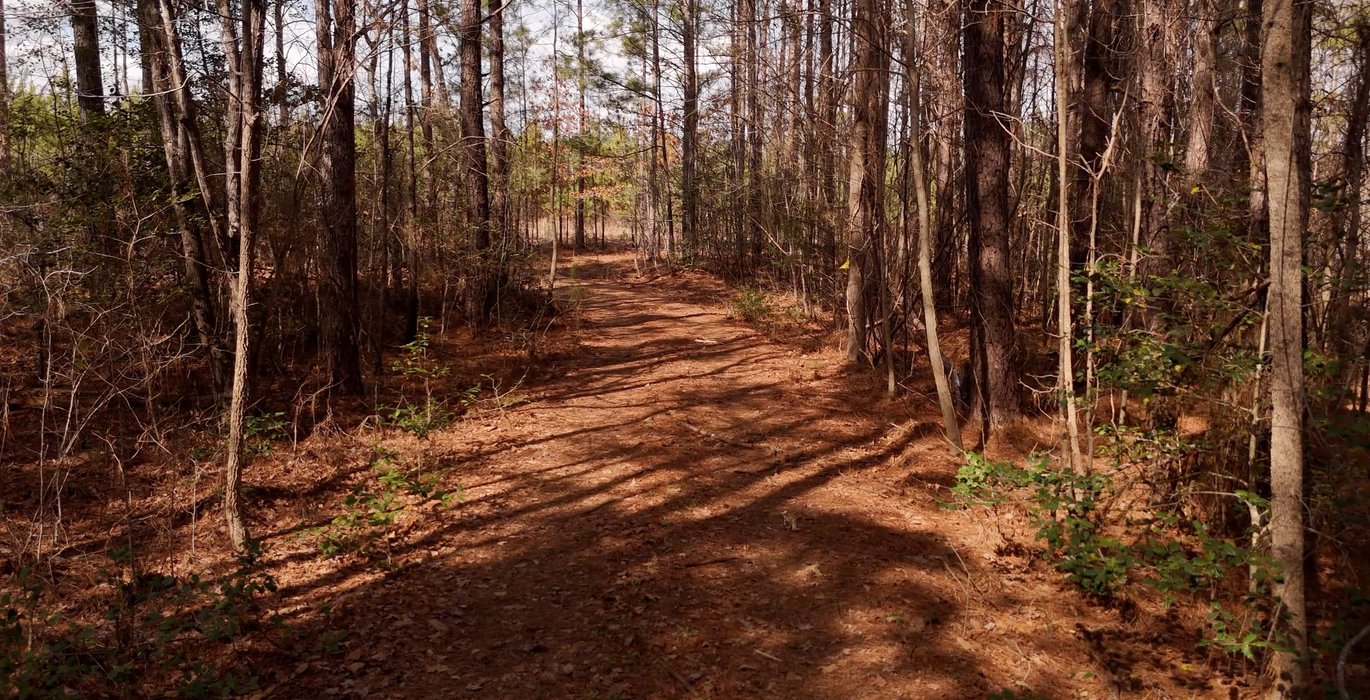 233 Pleasant Grove Road 13