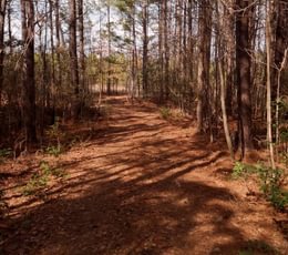 233 Pleasant Grove Road 13