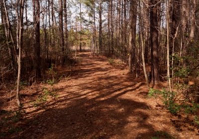 233 Pleasant Grove Road 13