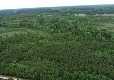 234 DJI 0464