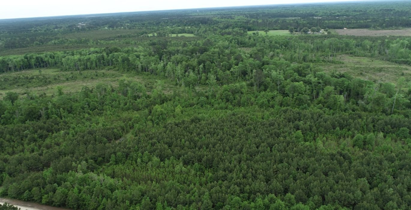 234 DJI 0464