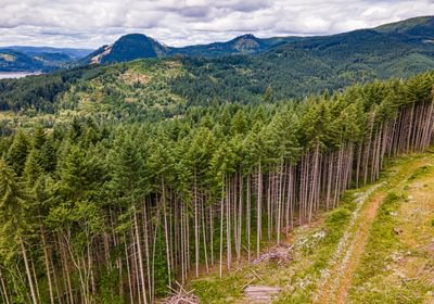 234 DJI 0669 HDR25