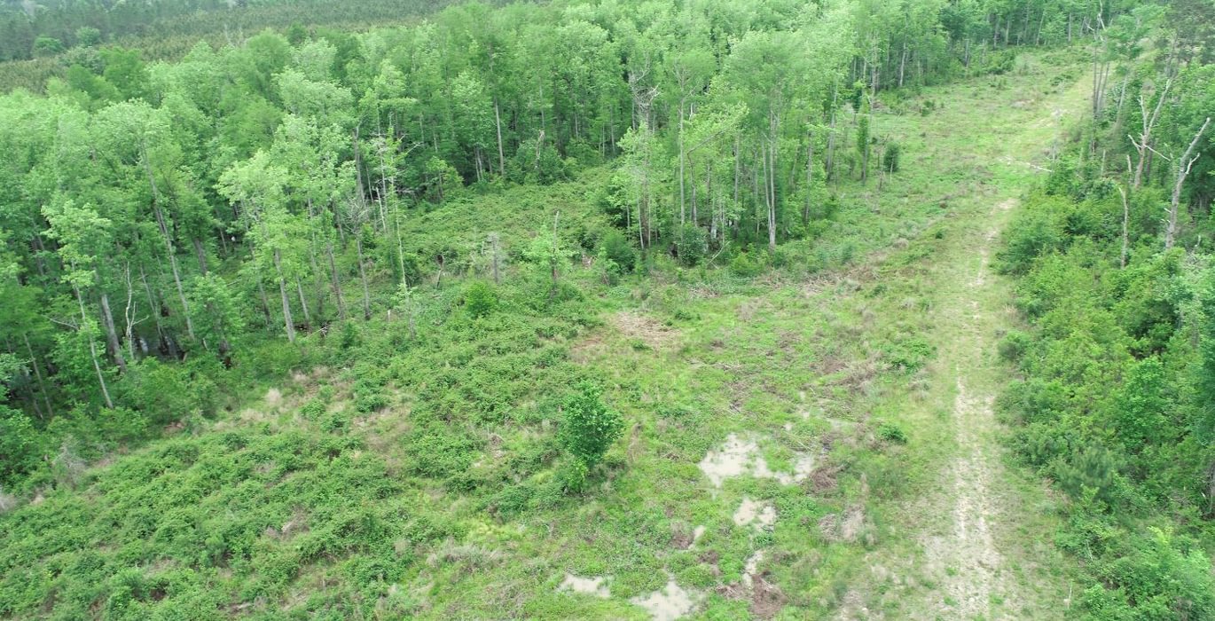 234 DJI 0131