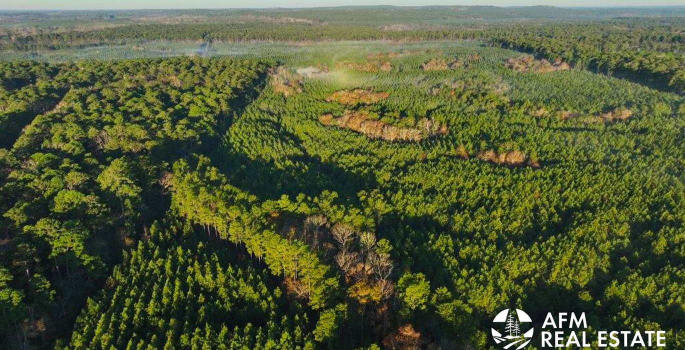 234 DJI 20250201075017 0053 V