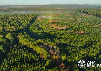 234 DJI 20250201075017 0053 V