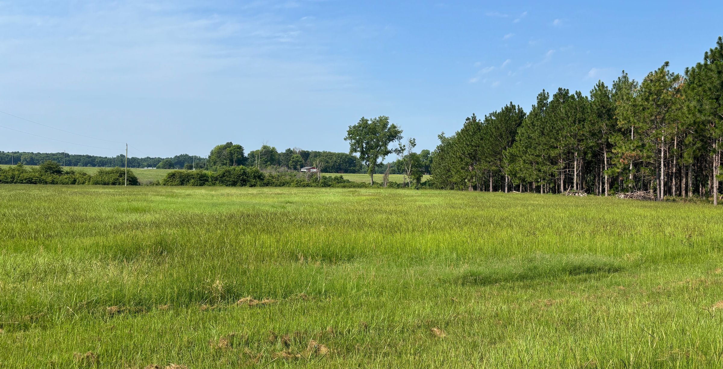 234 IMG 5116