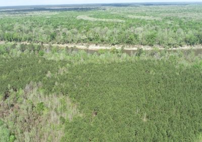 236 DJI 0403