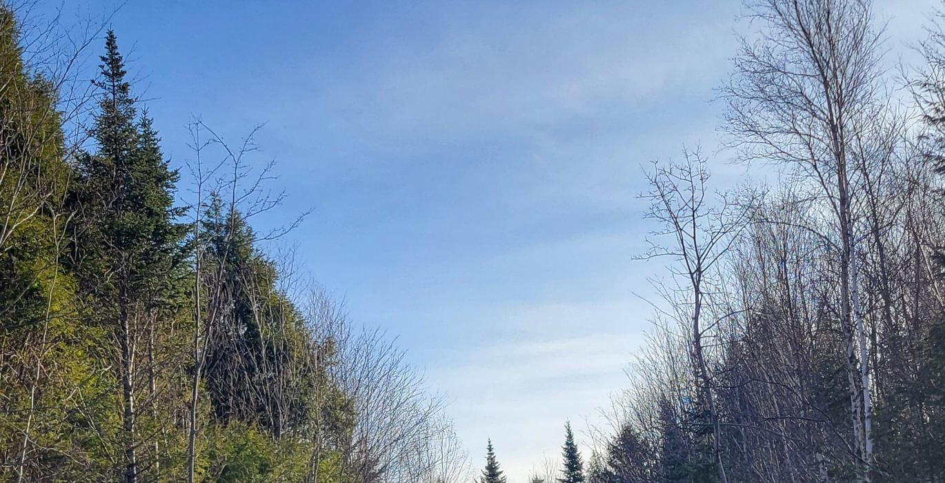 237 gravel access road