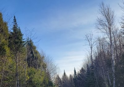 237 gravel access road