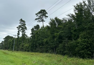 238 IMG 7854