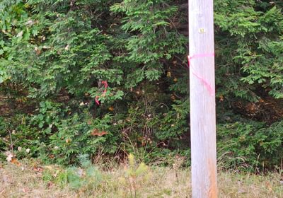 238 Pole at NW corner