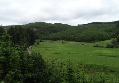 239 DJI 0125