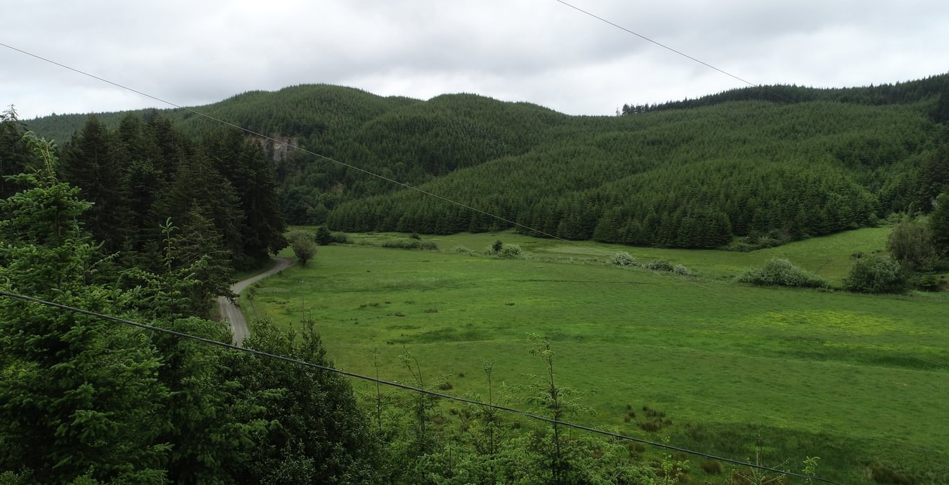 239 DJI 0125