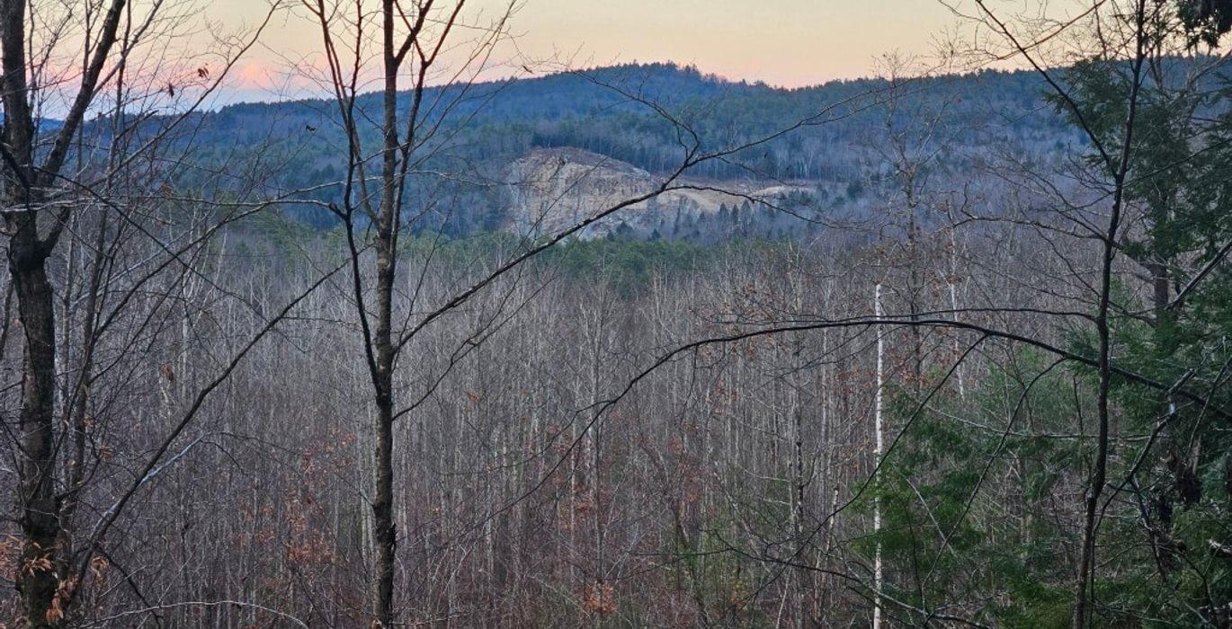 239 distant view