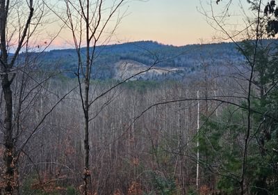 239 distant view