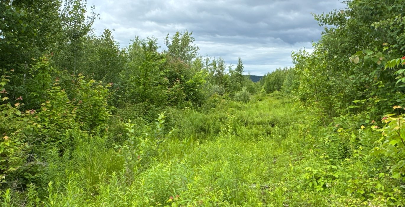 27 trail