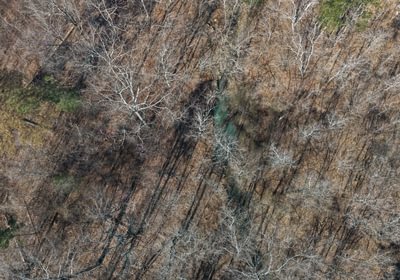 240 DJI 20260316103534 0027 D Medium