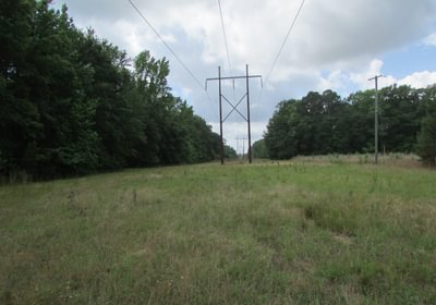 240 IMG 1055