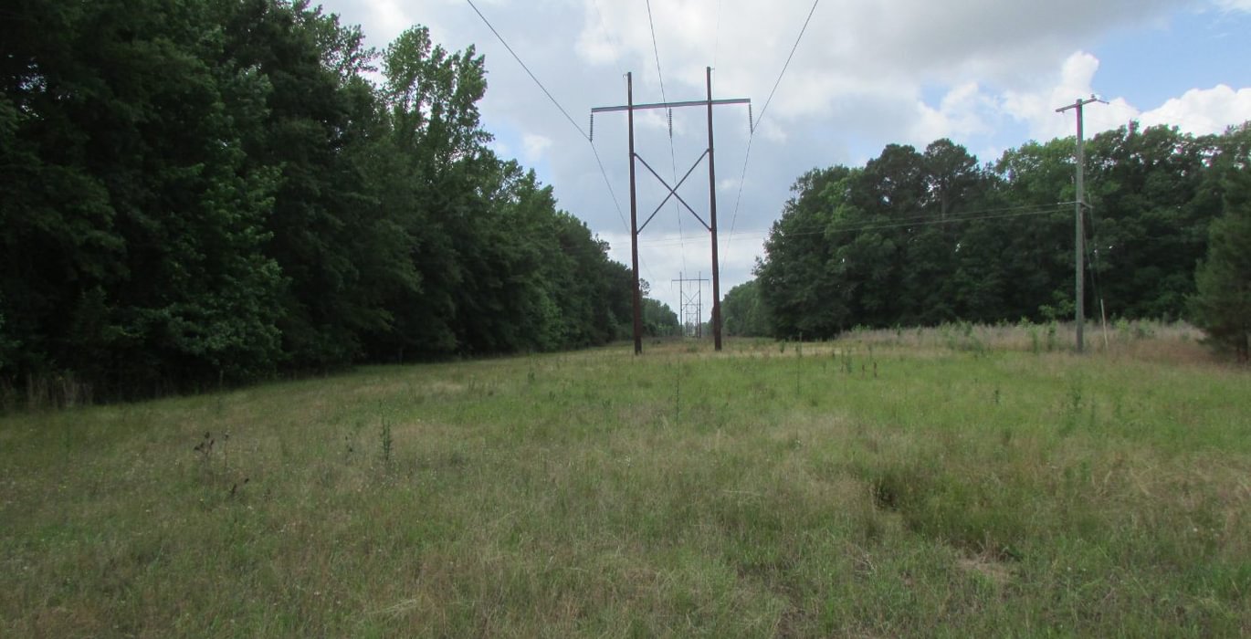 240 IMG 1055