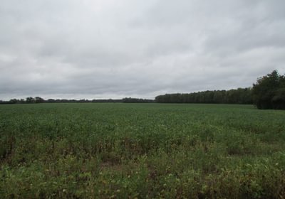 241 48 IMG 1176