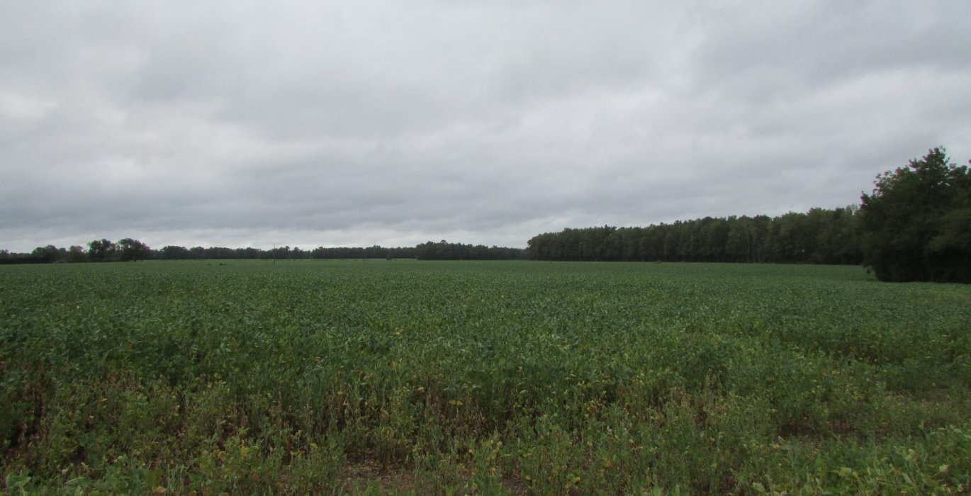 241 48 IMG 1176