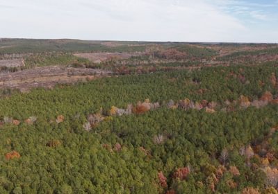 241 AFM Crump Farm Photo 16