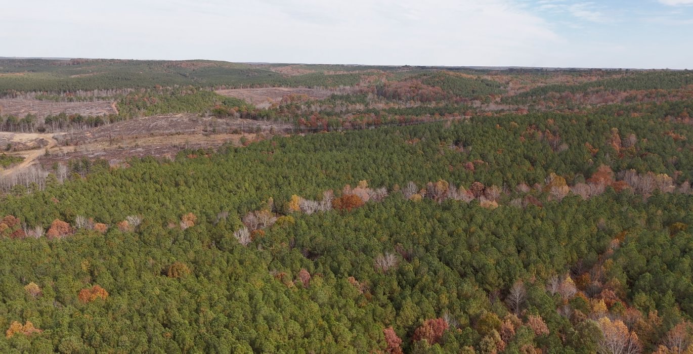 241 AFM Crump Farm Photo 16