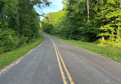 242 r IMG 0958