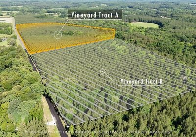 244 AFM Vineyard Road Tract A Photo 1
