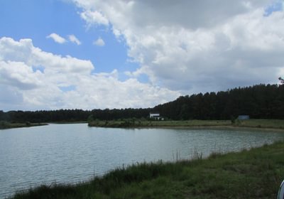 244 IMG 1104