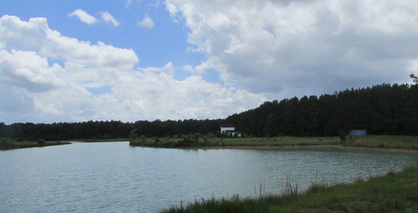 244 IMG 1104