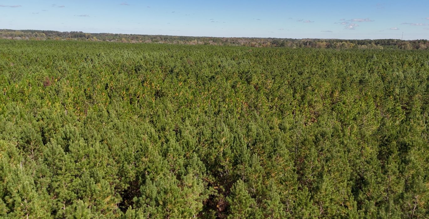 245 AFM Bladen 339 Photo 17