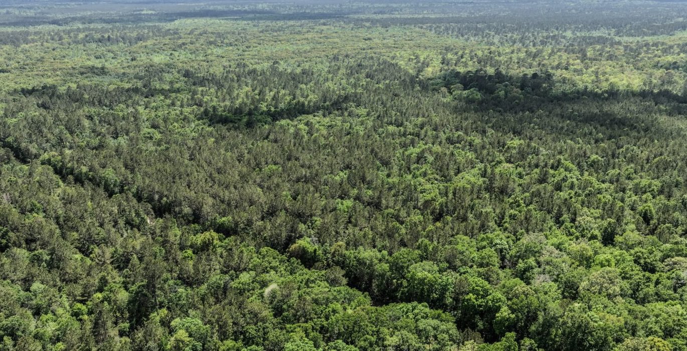 245 DJI 20260415143936 0145 D