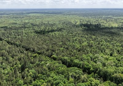 245 DJI 20260415143936 0145 D