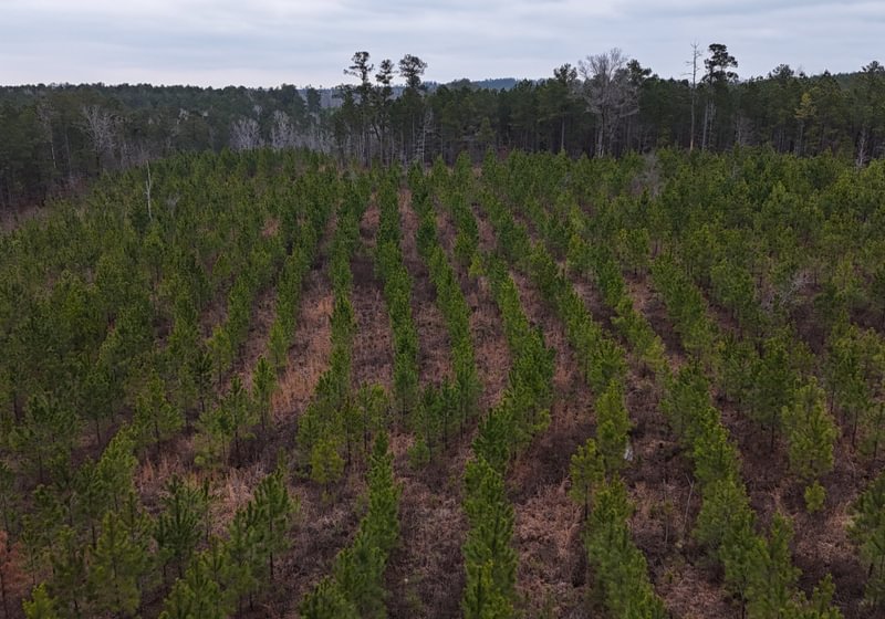 Photo 1 of Chickasaw Pines at Lake Sinclair, 131 acres, Hancock County, Georgia