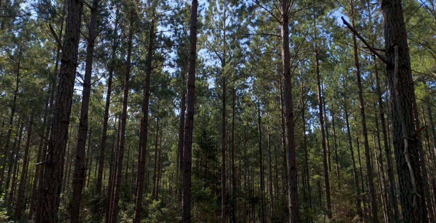 248 Cabin Creek Photo 2