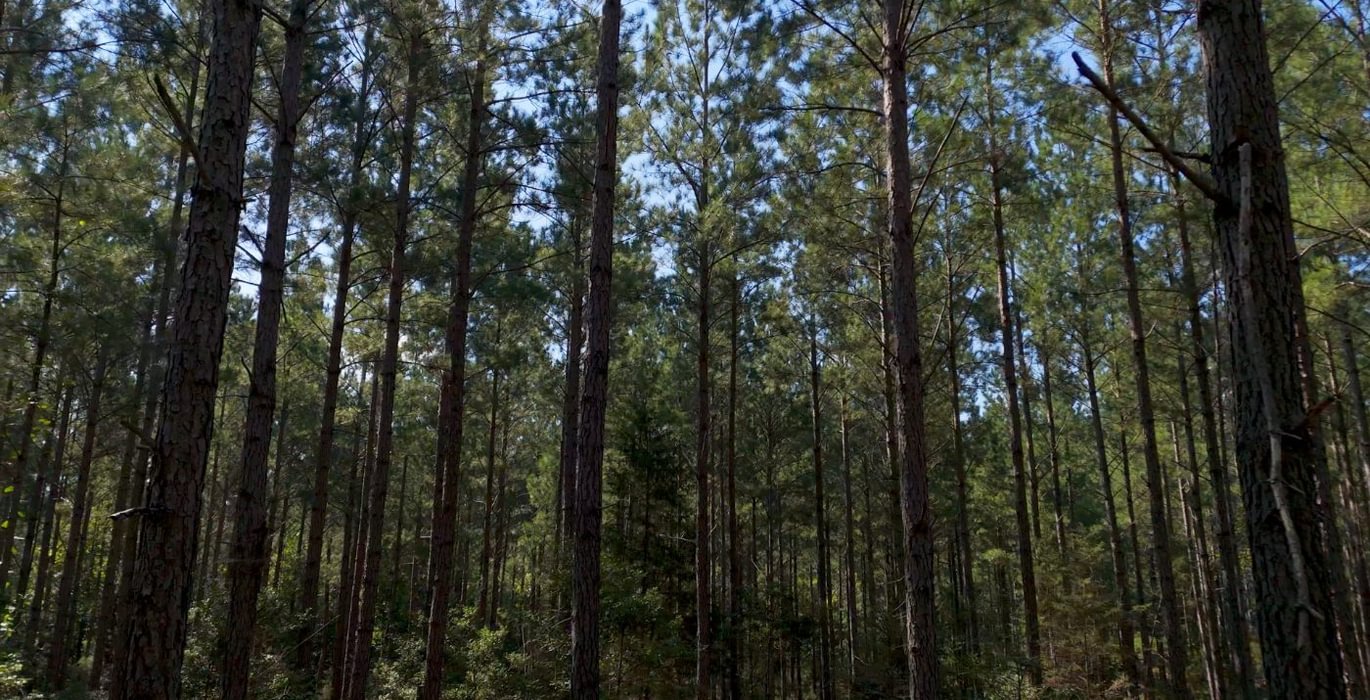 248 Cabin Creek Photo 2