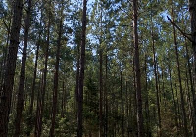 248 Cabin Creek Photo 2