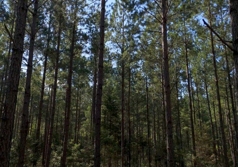 248 Cabin Creek Photo 2