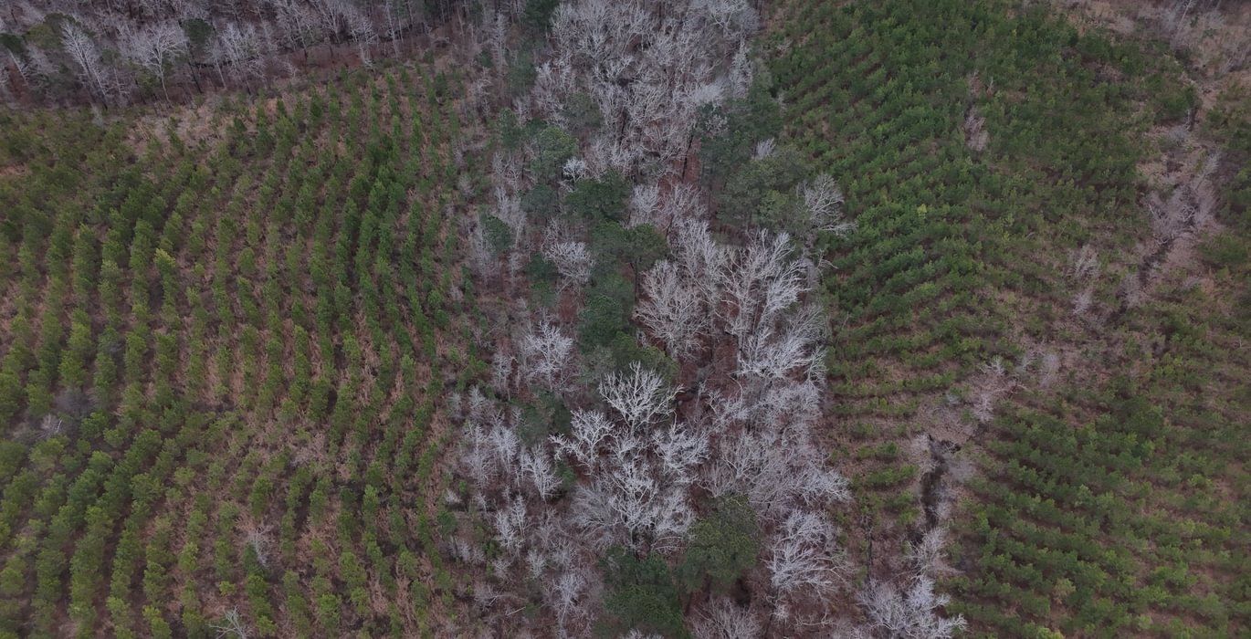 249 DJI 20260205154356 0011 D