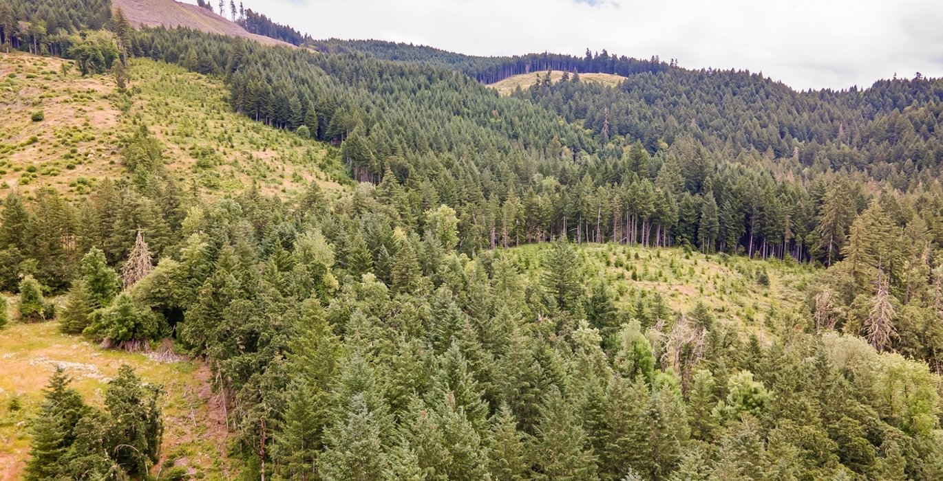 24 DJI 0640 HDR25