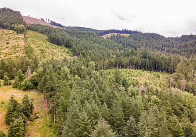 24 DJI 0640 HDR25