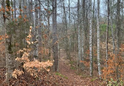 24 IMG 1273