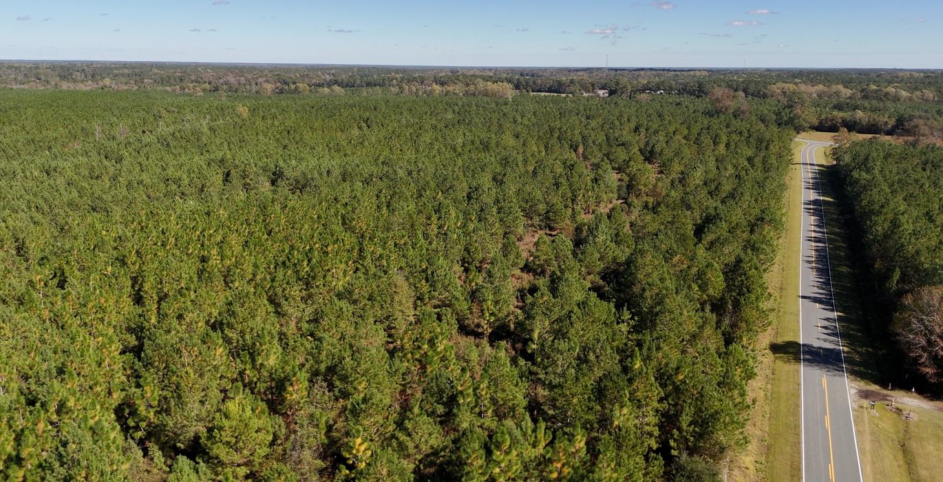 250 AFM Bladen 339 Photo 19