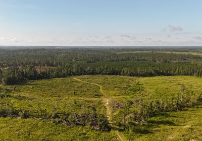 250 DJI 20250613085757 0072 D