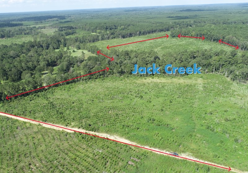 Photo 3 of Sturgis Mill T-17, 63 acres, Sabine County, Texas